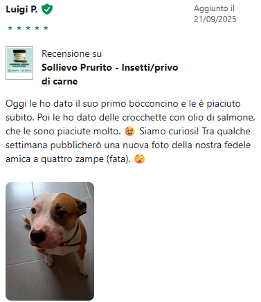 Recensione 5