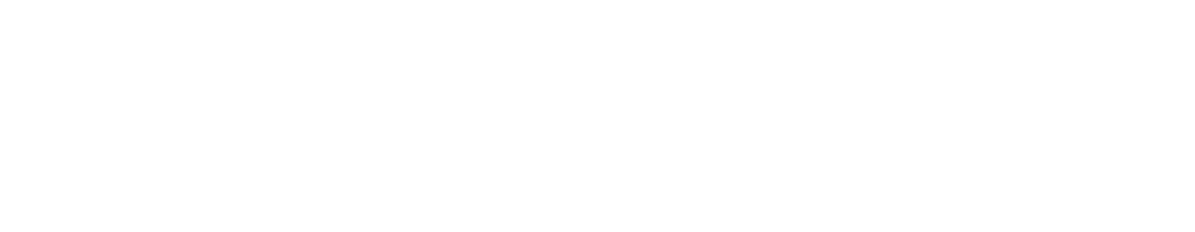 Il Mattino di Padova