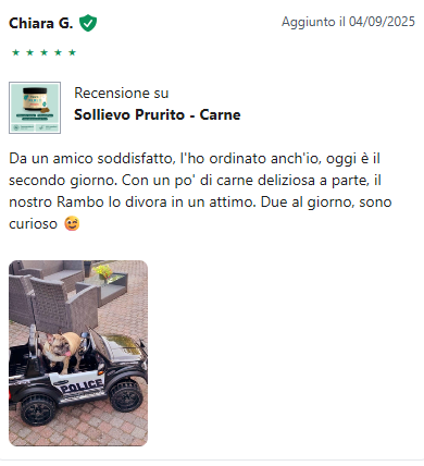 Recensione 7