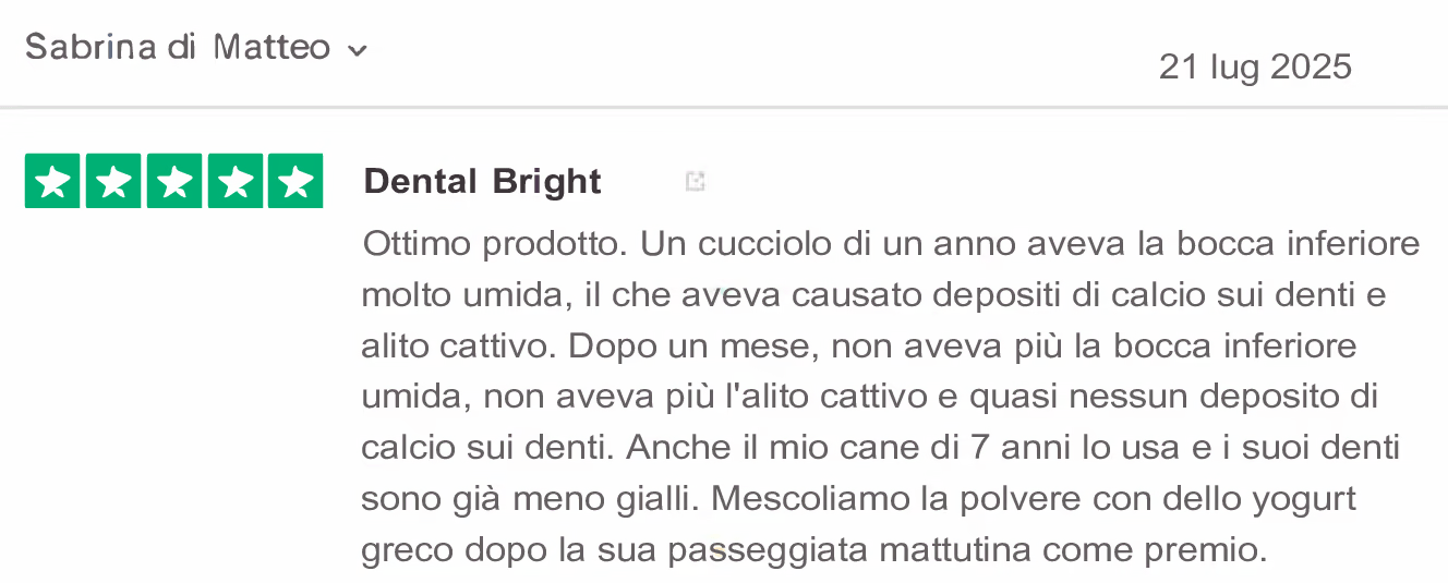 Recensione 7 Dental Bright
