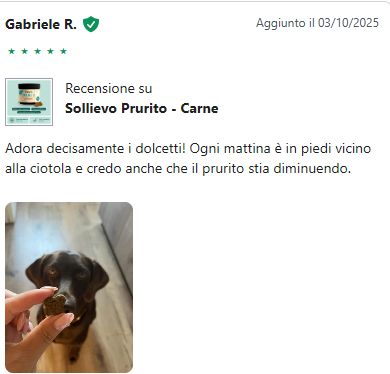 Recensione 8