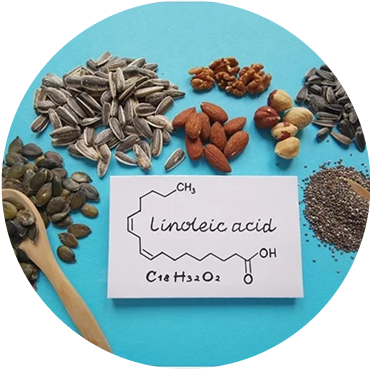 Various nuts and seeds placed around a card labeled 'Linoleic acid' on a blue background.