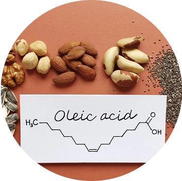 Nuts, seeds, and oleic acid diagram on a peach background.