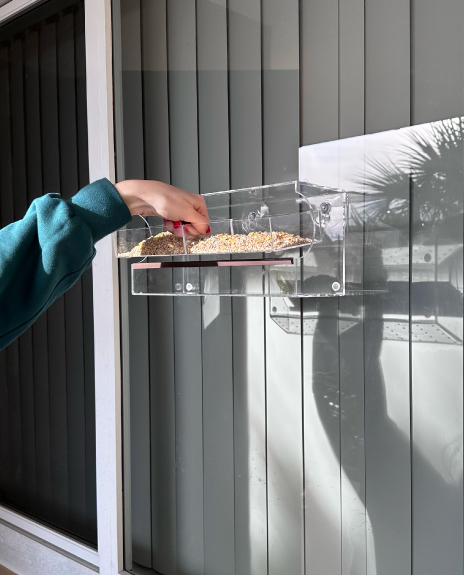 Person filling a transparent bird feeder with seeds on a window.