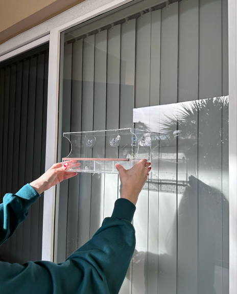 Person holding a clear bird feeder against a window with vertical blinds.