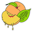 Illustration of a peach with a dripping slice and green leaves.