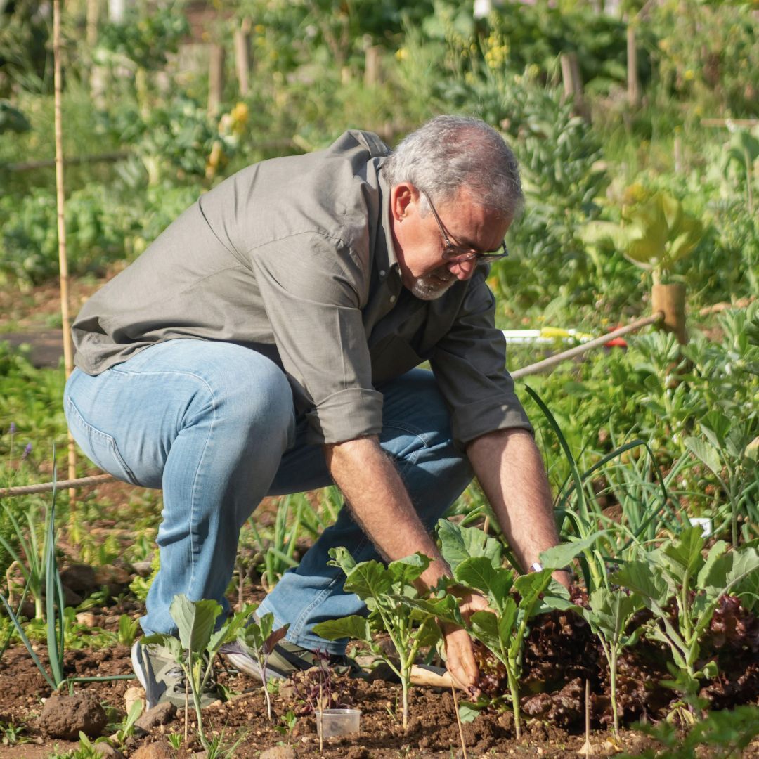 Person gardening in a vegetable plot with various plants.