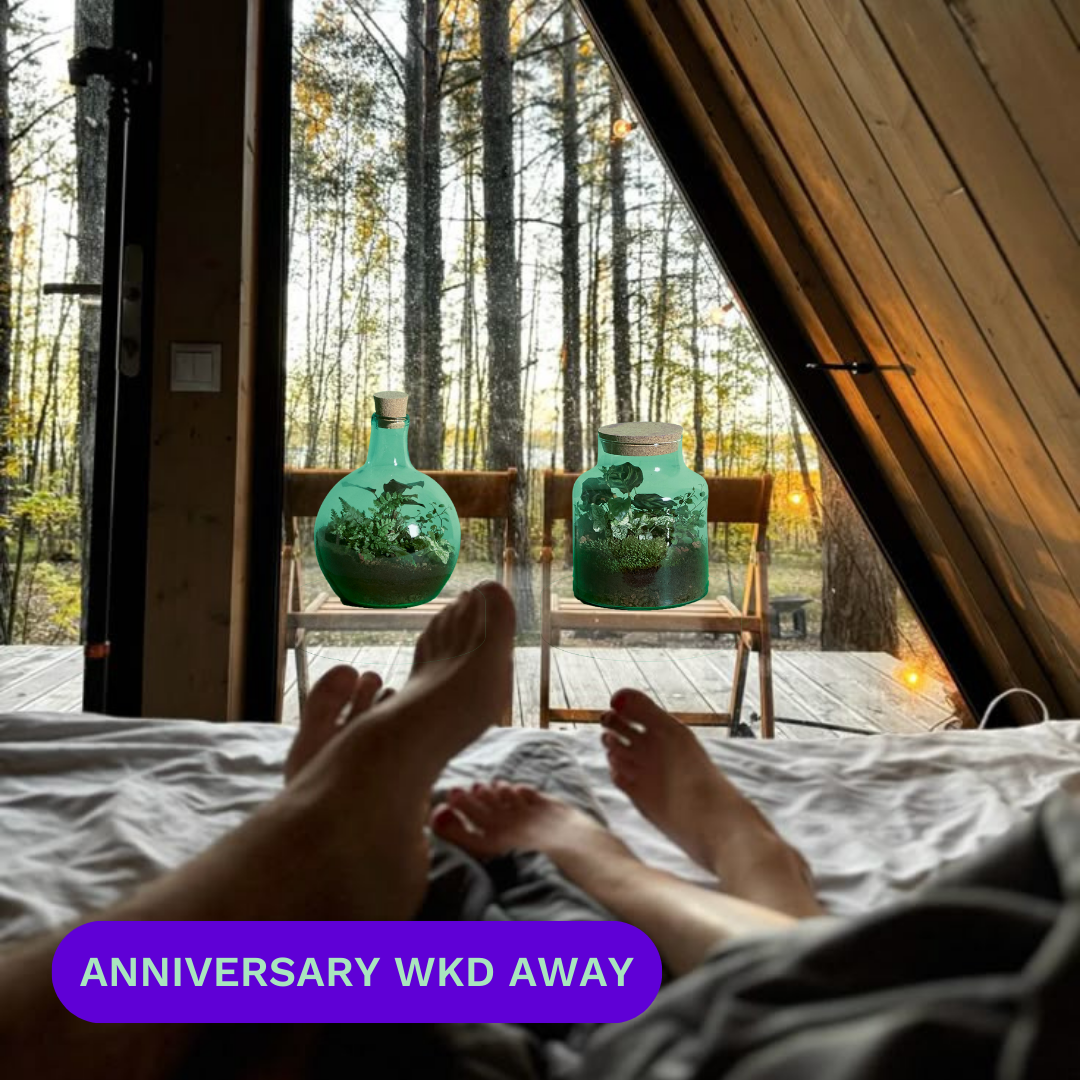 View from bed in cabin, feet visible, forest outside, two terrariums on chairs.