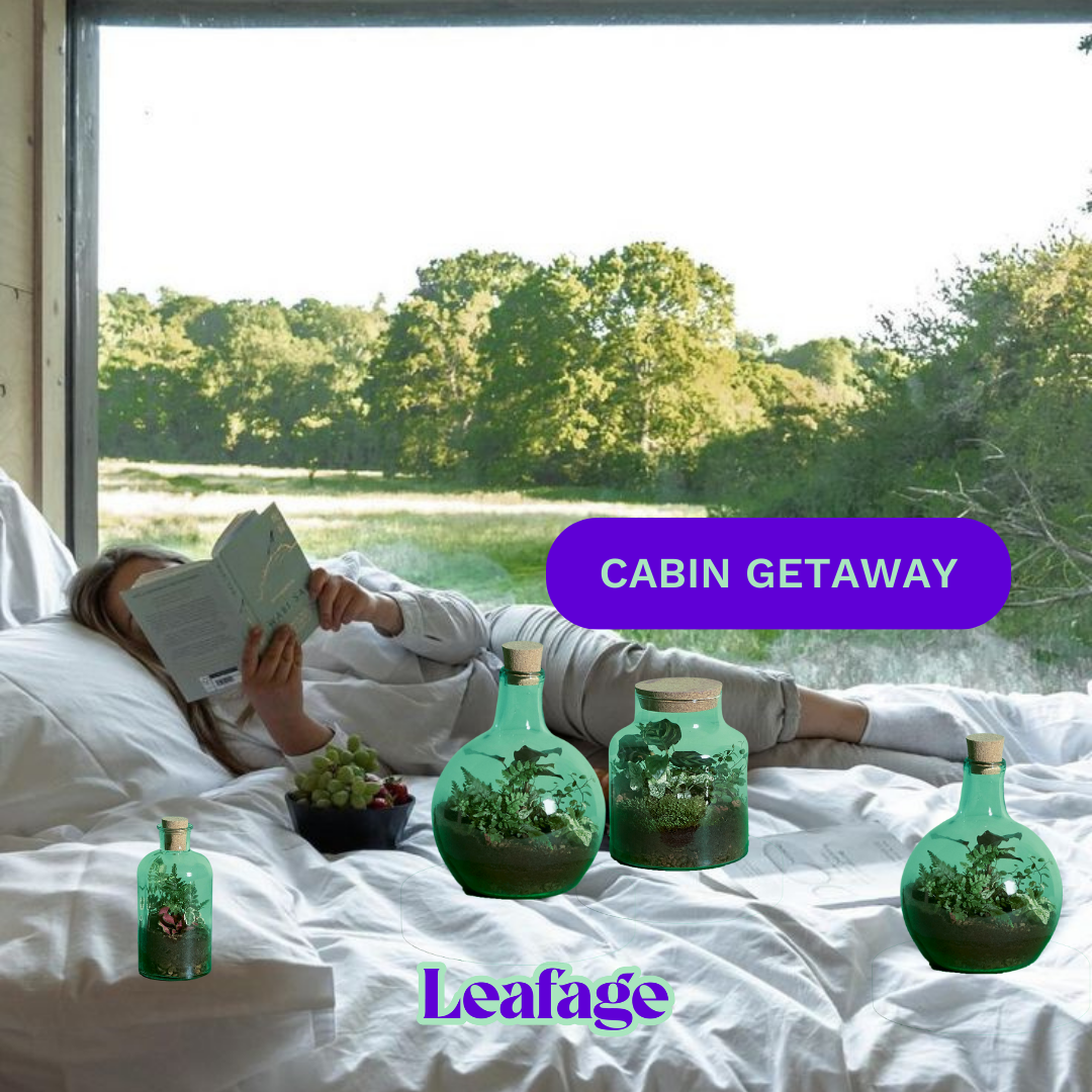 Person reading on bed with terrariums, view of trees outside.