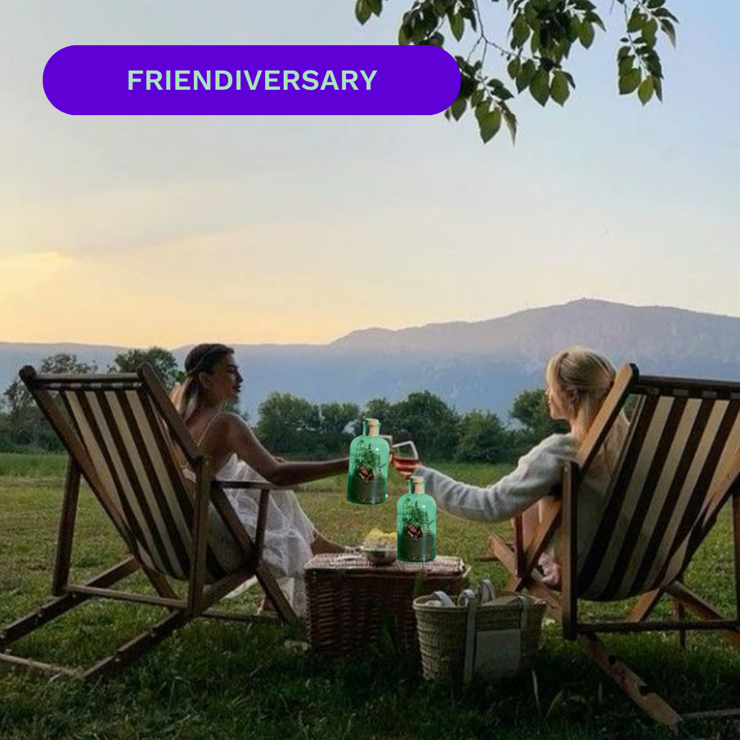 Two people in deck chairs toasting with drinks, outdoors, with 'Friendiversary' text above.