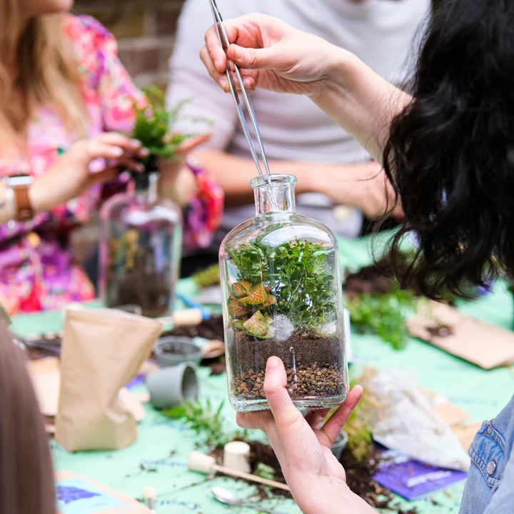 People creating terrariums with plants and soil in glass bottles on a table.
