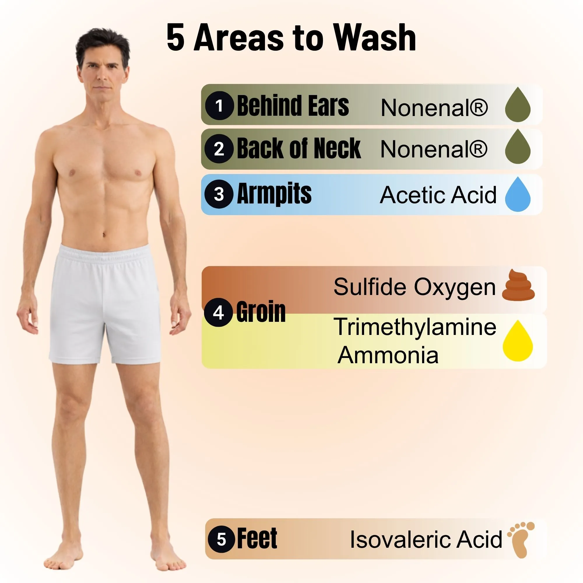 An infographic showing a man and listing 5 areas of the body to wash for hygiene.