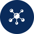 A white icon of a network or molecule inside a dark blue circle.