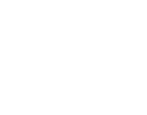 The Ski Inn 30 Day Promise logo in white text on a transparent background.
