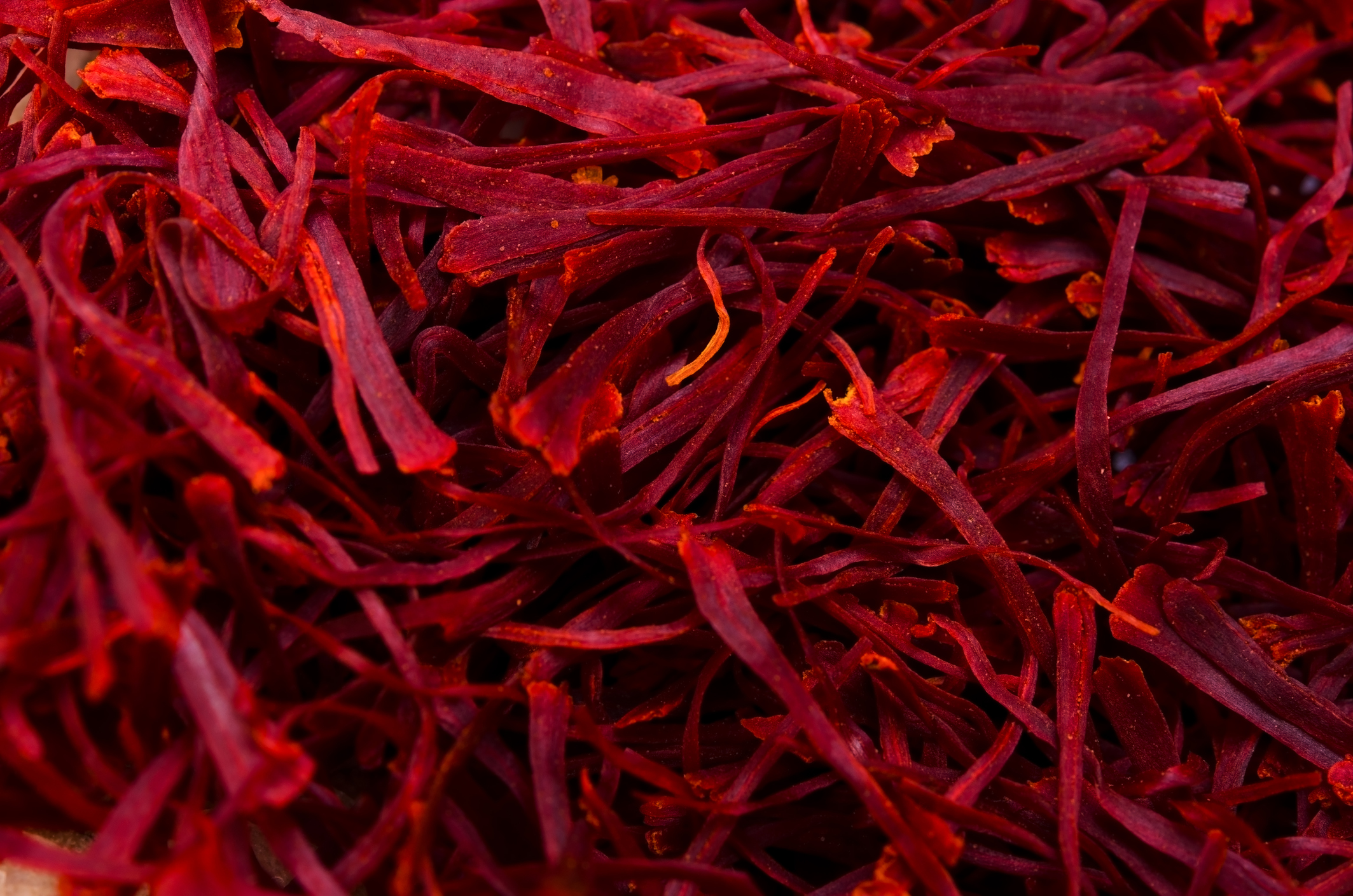 A close-up macro photograph of a pile of vibrant red saffron threads.
