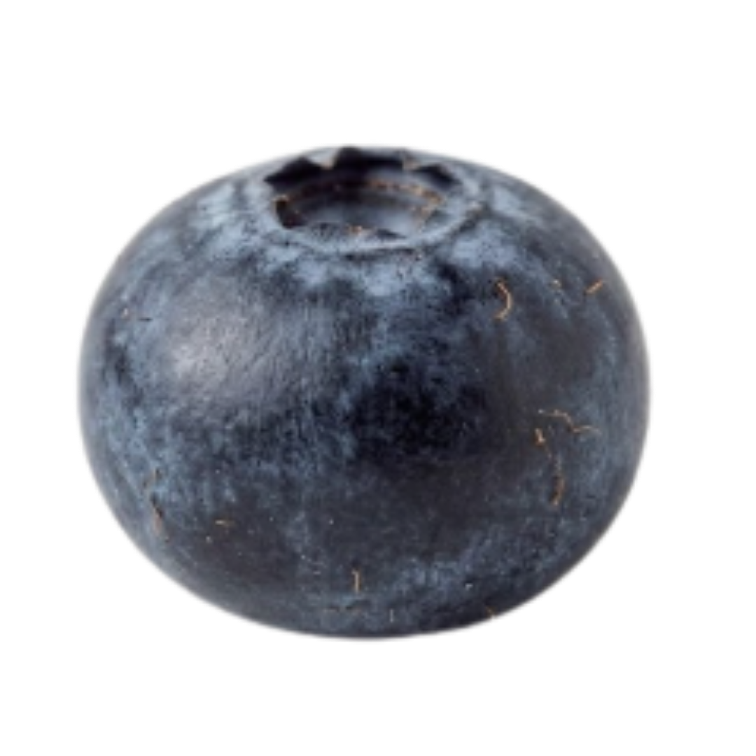 A close-up of a single blueberry isolated against a white background.