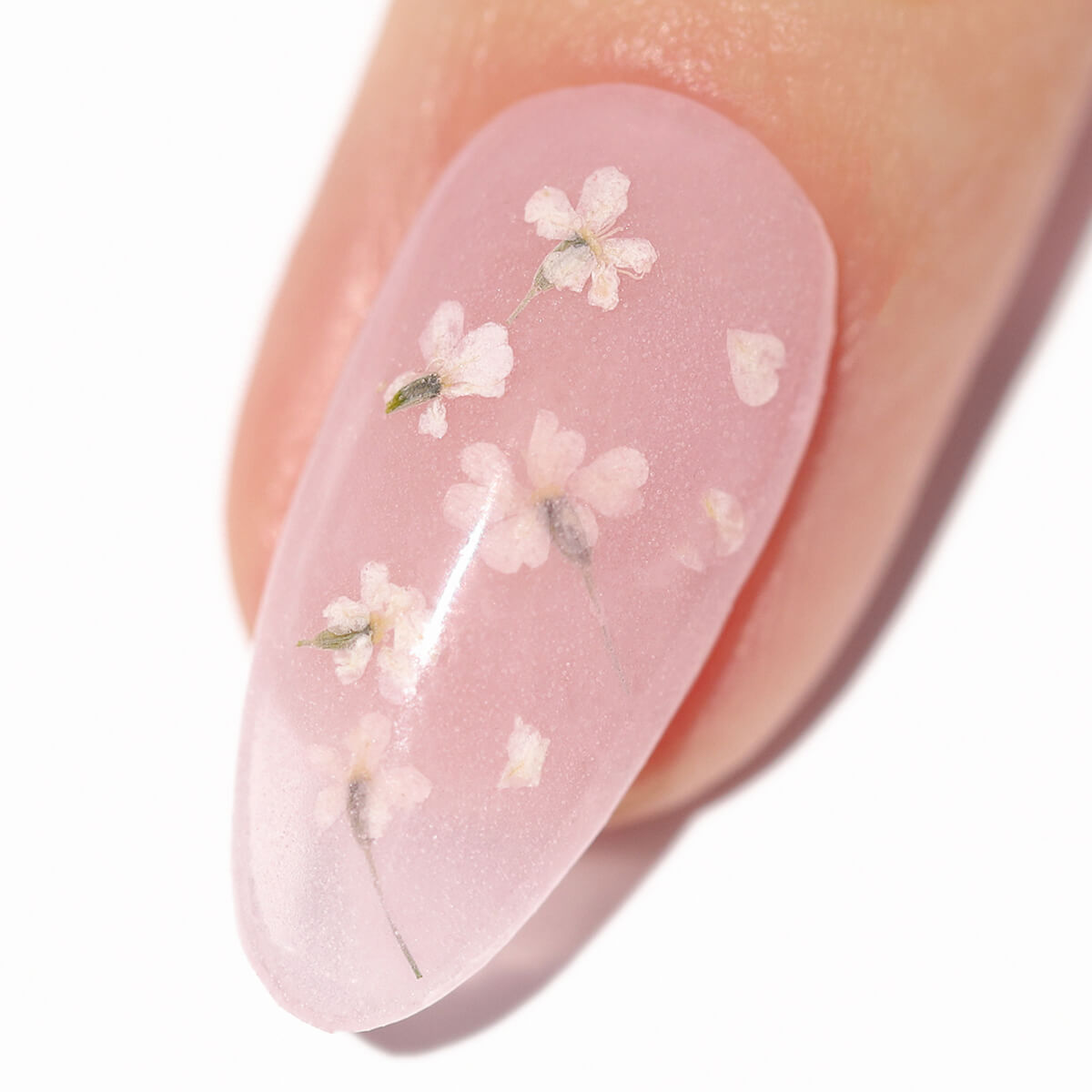 Close-up of a fingernail with pink nail polish and floral designs.