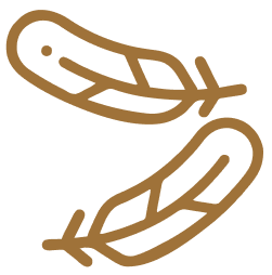 Two brown outlined feathers on a white background.