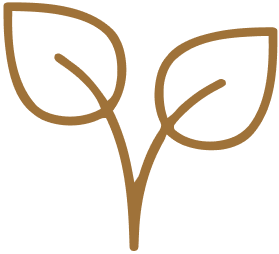 Simple brown line drawing of a plant with two leaves.
