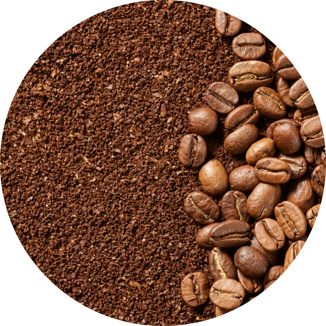 Pile of whole coffee beans next to ground coffee.