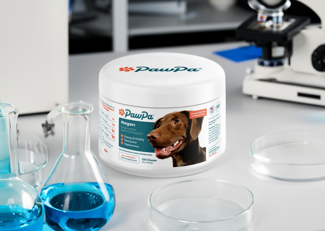 Container of dog supplements on a lab table with blue liquid in beakers.