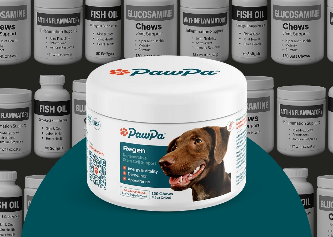 Dog supplement container with various health product bottles in the background.