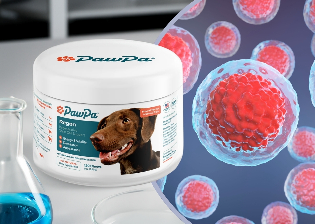 Dog supplement container with a dog's image, next to a scientific illustration of cells.