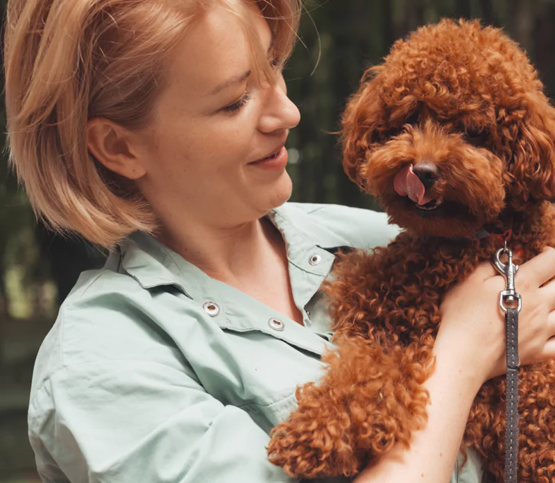 Person holding a curly-haired dog, both looking content.