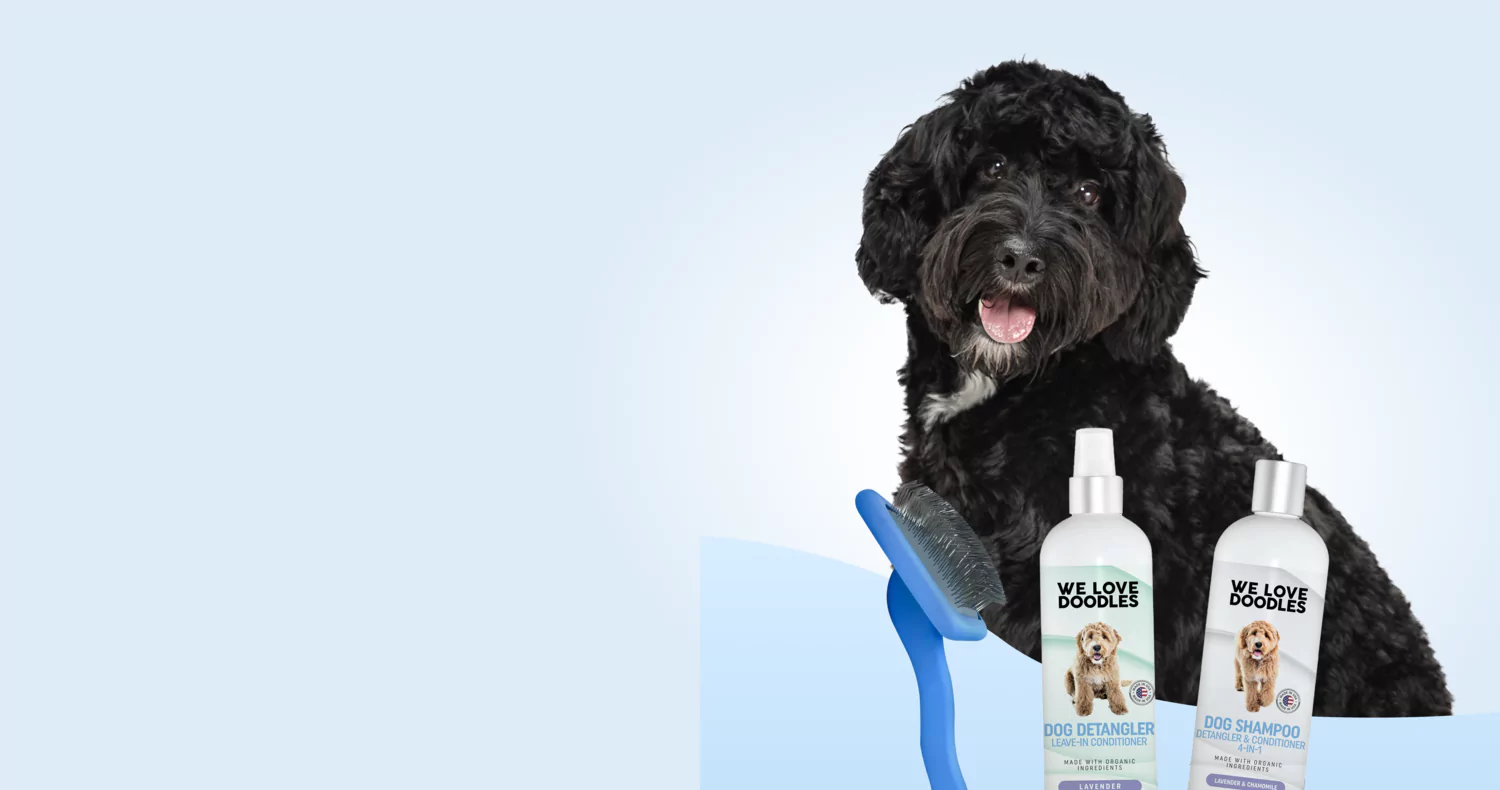 Black dog with grooming products and brush on a light background.