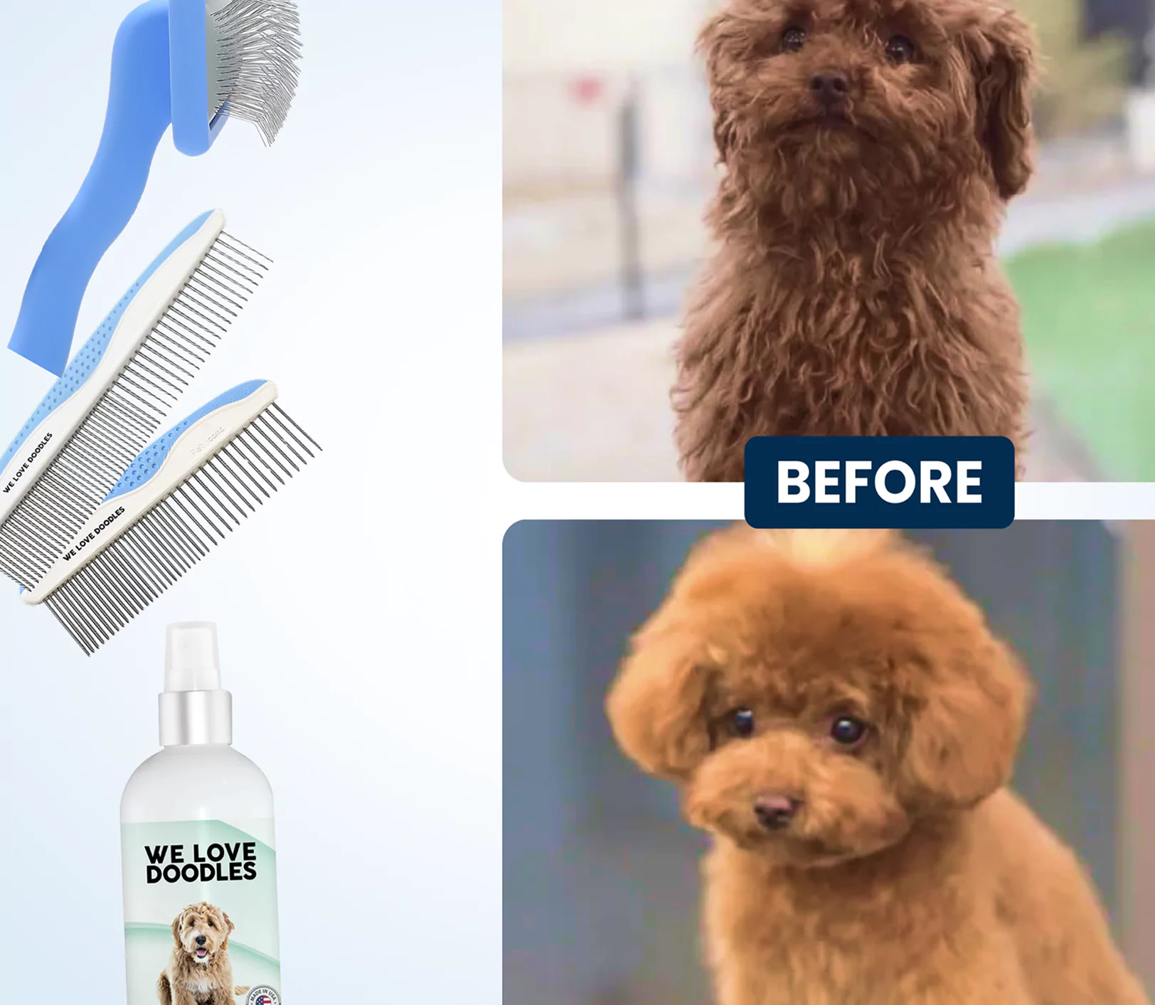 Before and after grooming images of a brown dog with grooming tools.