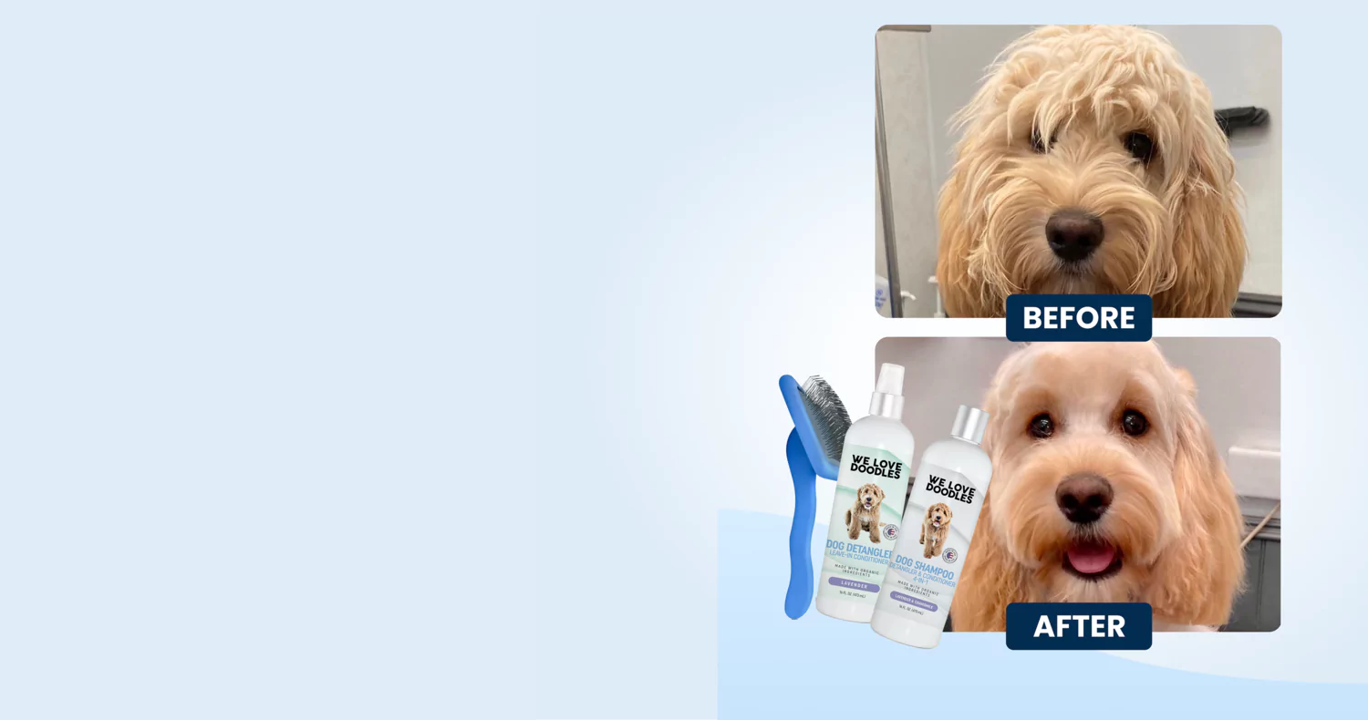 Before and after images of a groomed dog with shampoo and brush products.