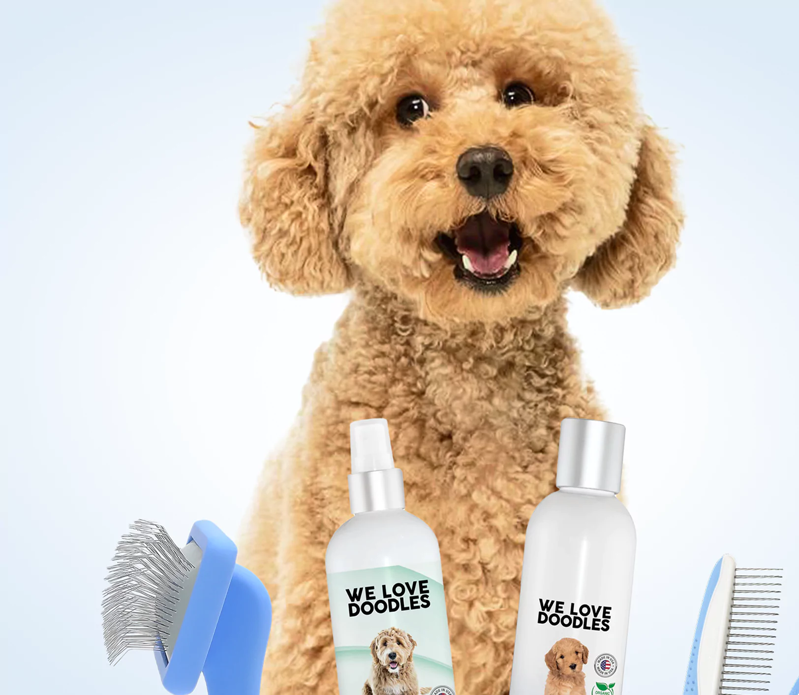 Fluffy dog with grooming products and brushes labeled 'We Love Doodles.'