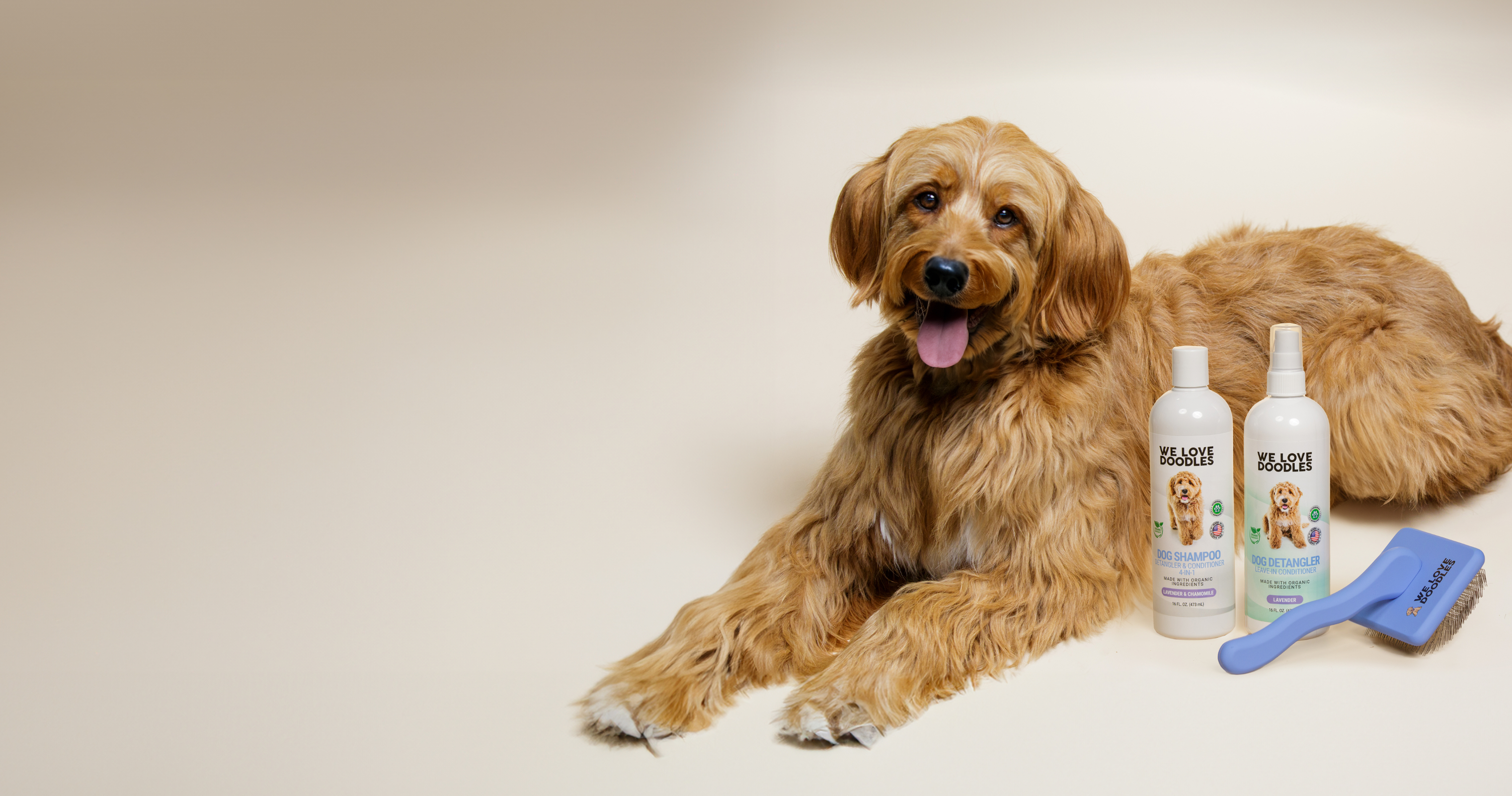 A fluffy dog with dog grooming products and a brush.