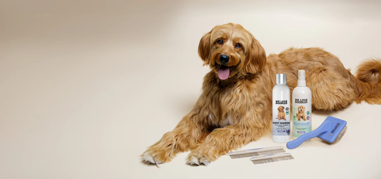 Golden dog with grooming products and tools on a beige background.