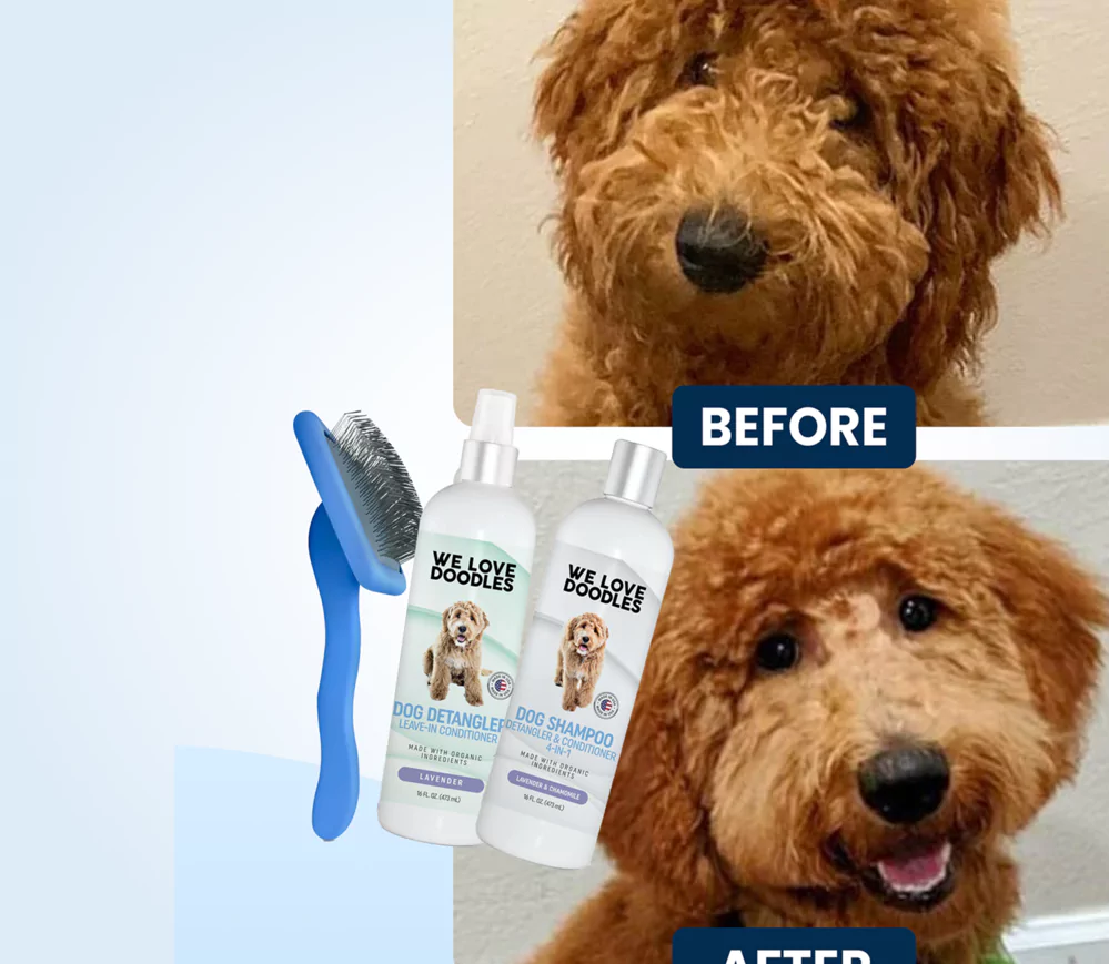 Before and after images of a groomed dog with shampoo bottles and a brush.