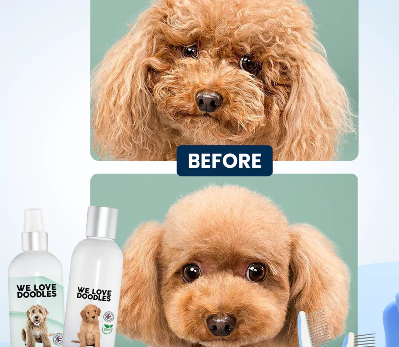 Before and after grooming images of a fluffy dog with grooming products.