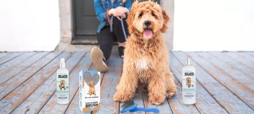 Happy dog with grooming products on a wooden deck.