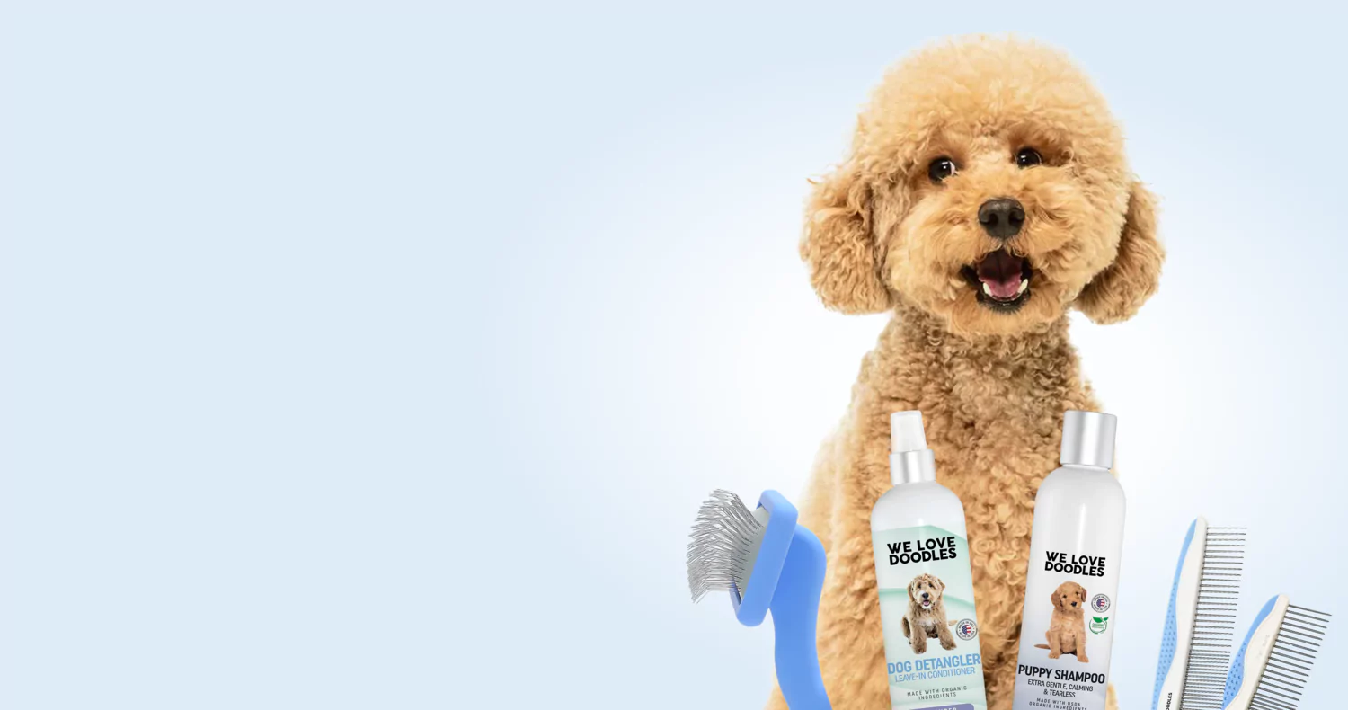 Fluffy dog with grooming products and brushes on a light blue background.