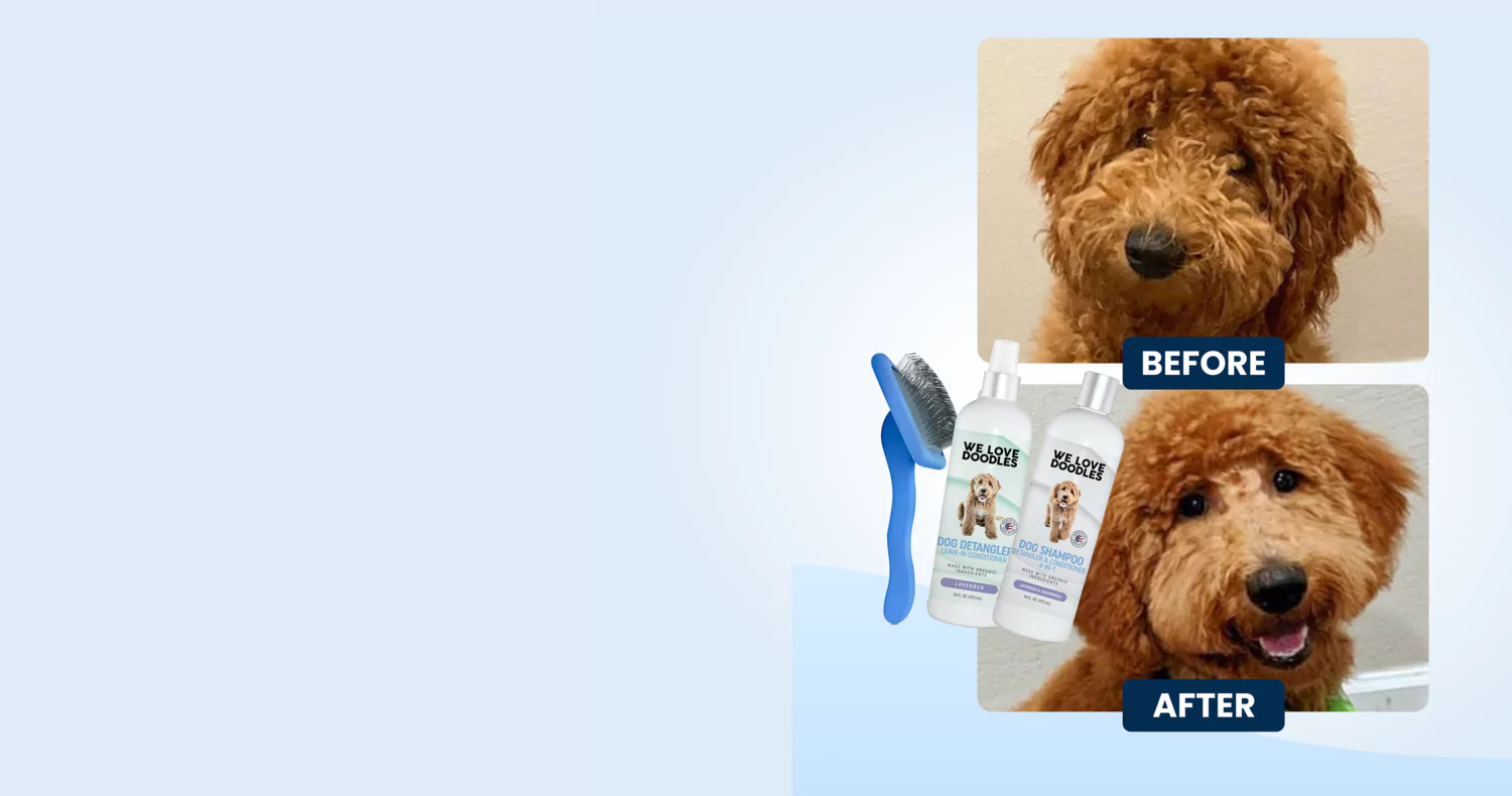 Before and after images of a groomed dog with shampoo and brush.