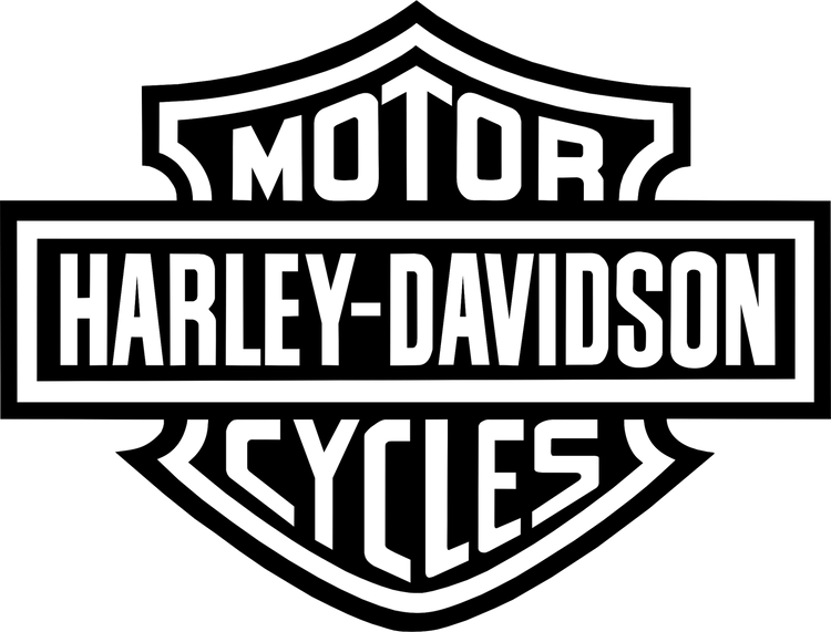 Black and white illustration of a person holding a sword.