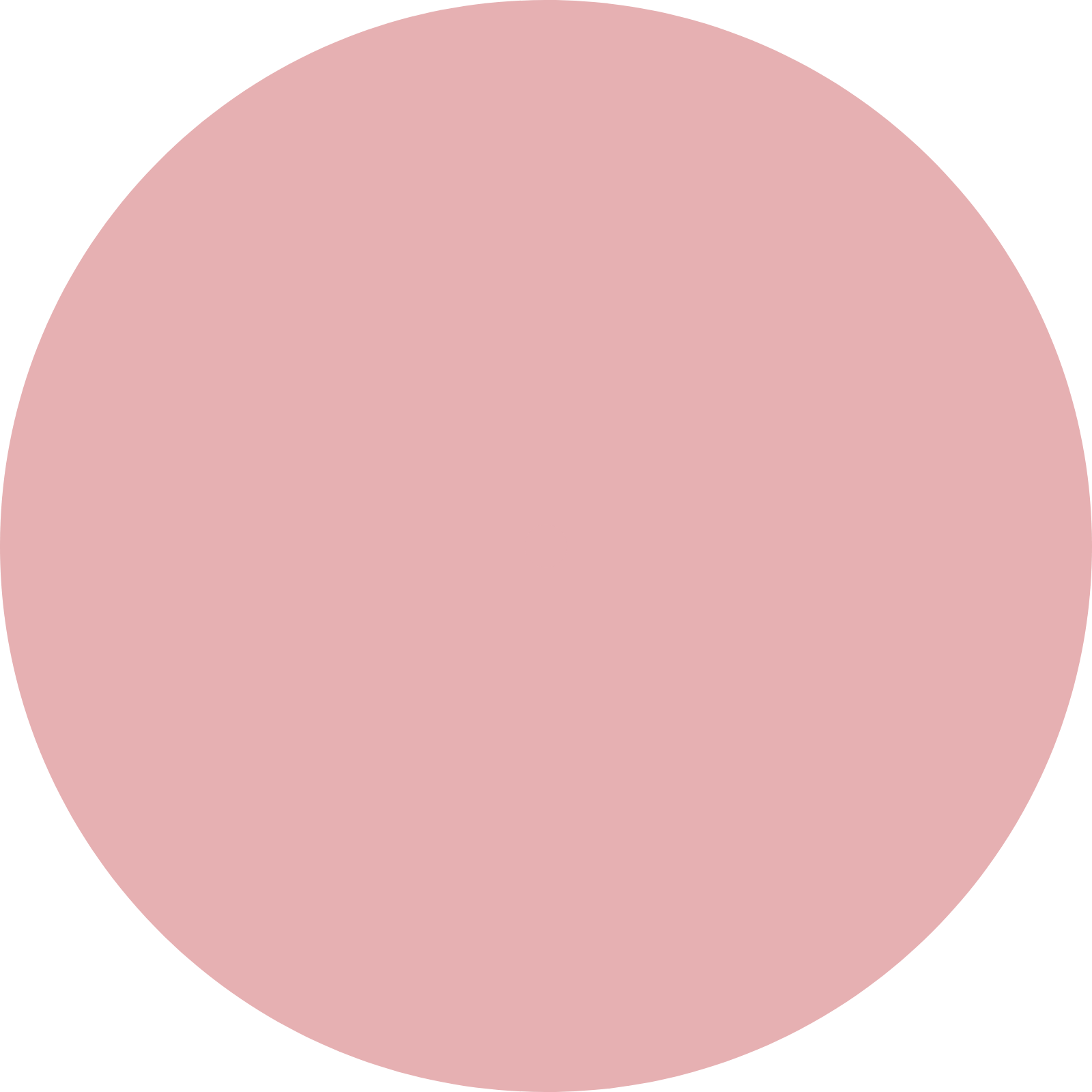 Solid pink circle on a transparent background.