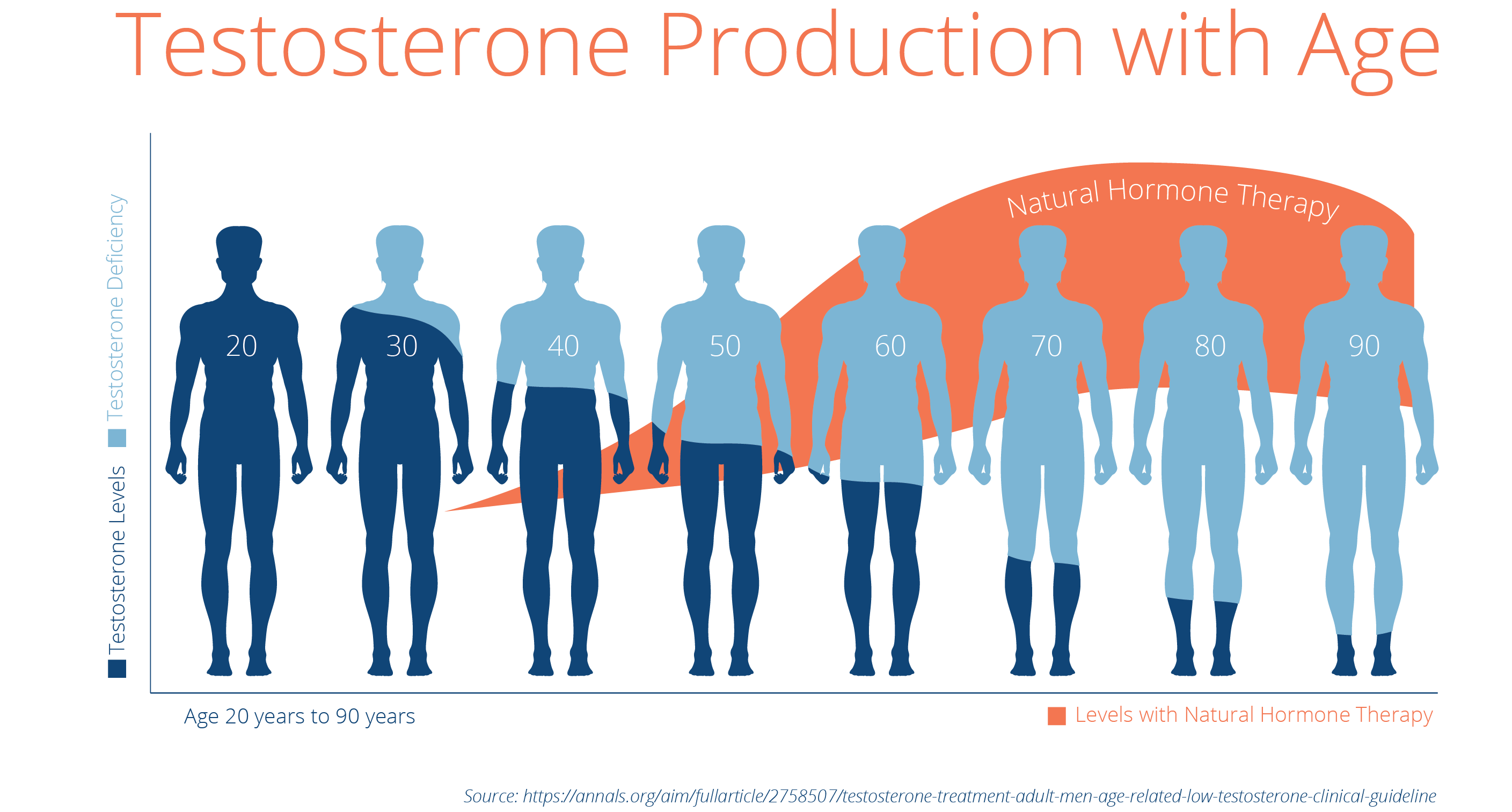 Infographic showing testosterone levels in men from ages 20 to 90.