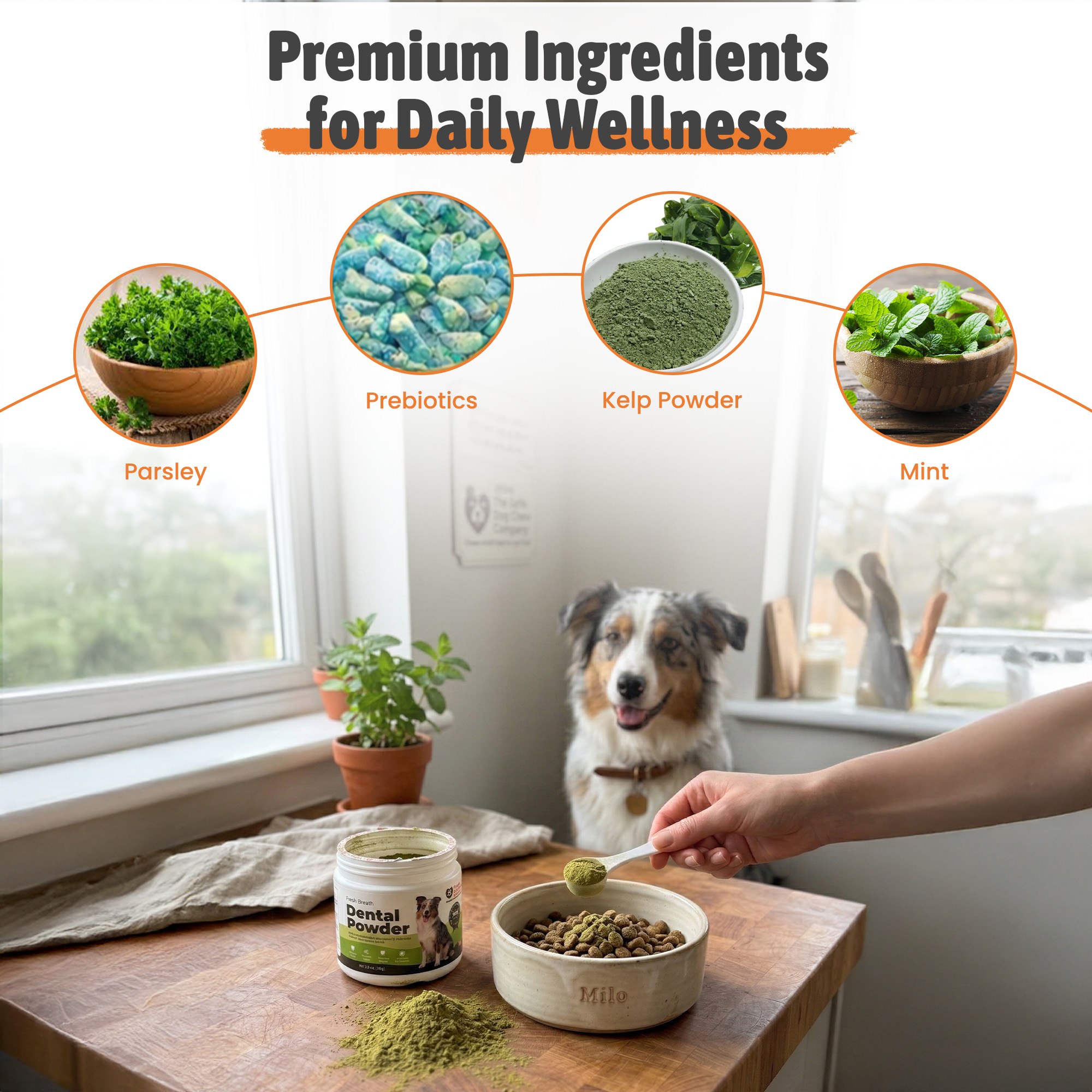 Dog Dental Powder | Clean Teeth & Healthy Gums Without the Toothbrush