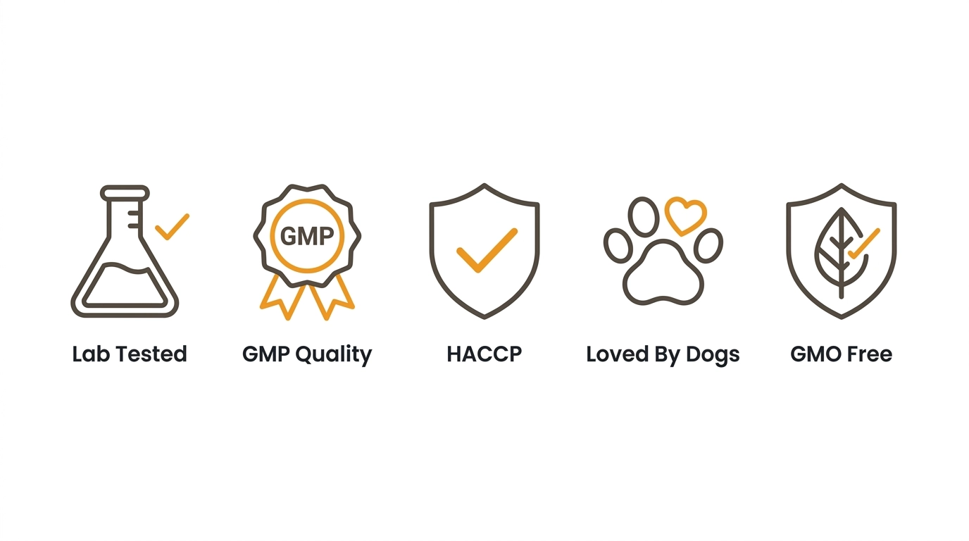 Icons for ISO 9001, HACCP, GMP Certified, and COA Certified, shown in a row.
