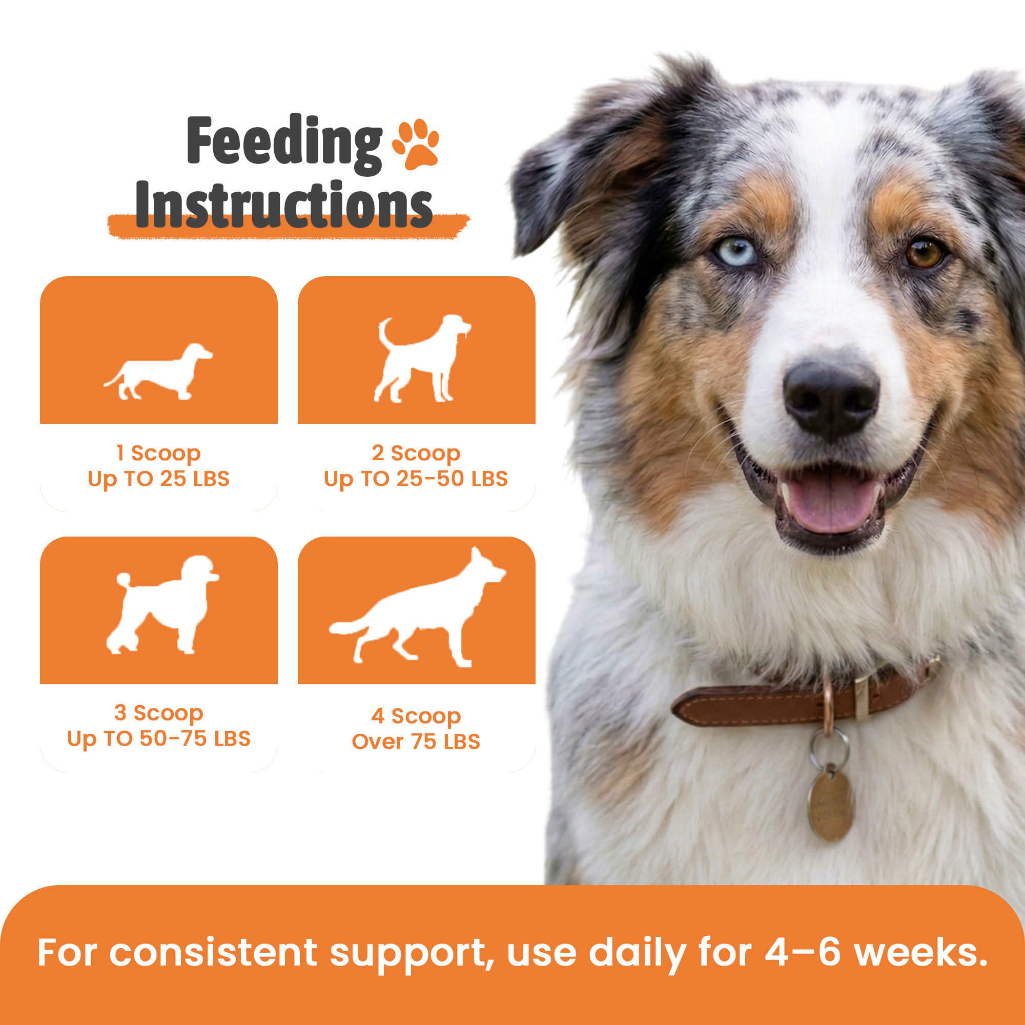 Dog Dental Powder | Clean Teeth & Healthy Gums Without the Toothbrush