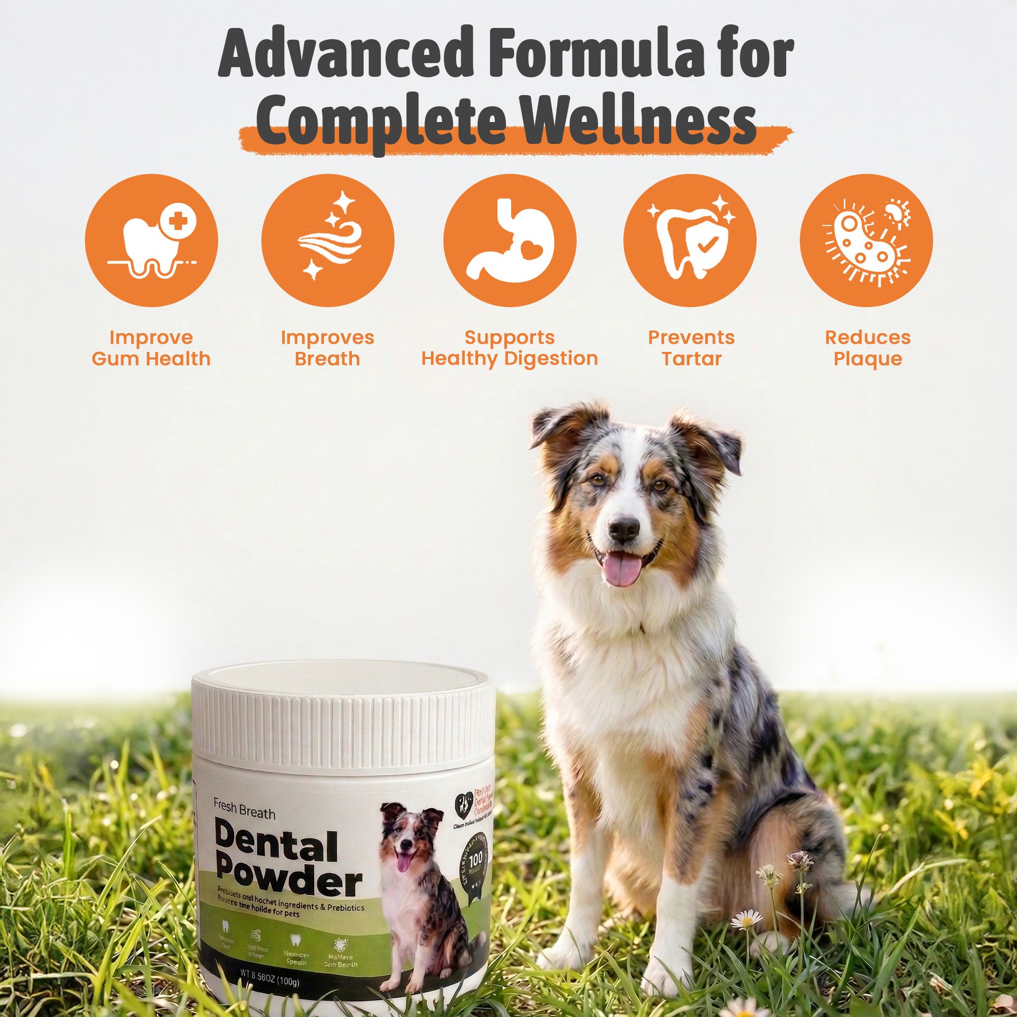 Dog Dental Powder | Clean Teeth & Healthy Gums Without the Toothbrush