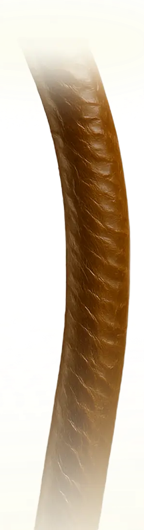 A microscopic, close-up view of a single curved strand of brown hair against a white background.