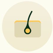 A stylized icon of a single hair growing from a follicle in a cross-section of skin.