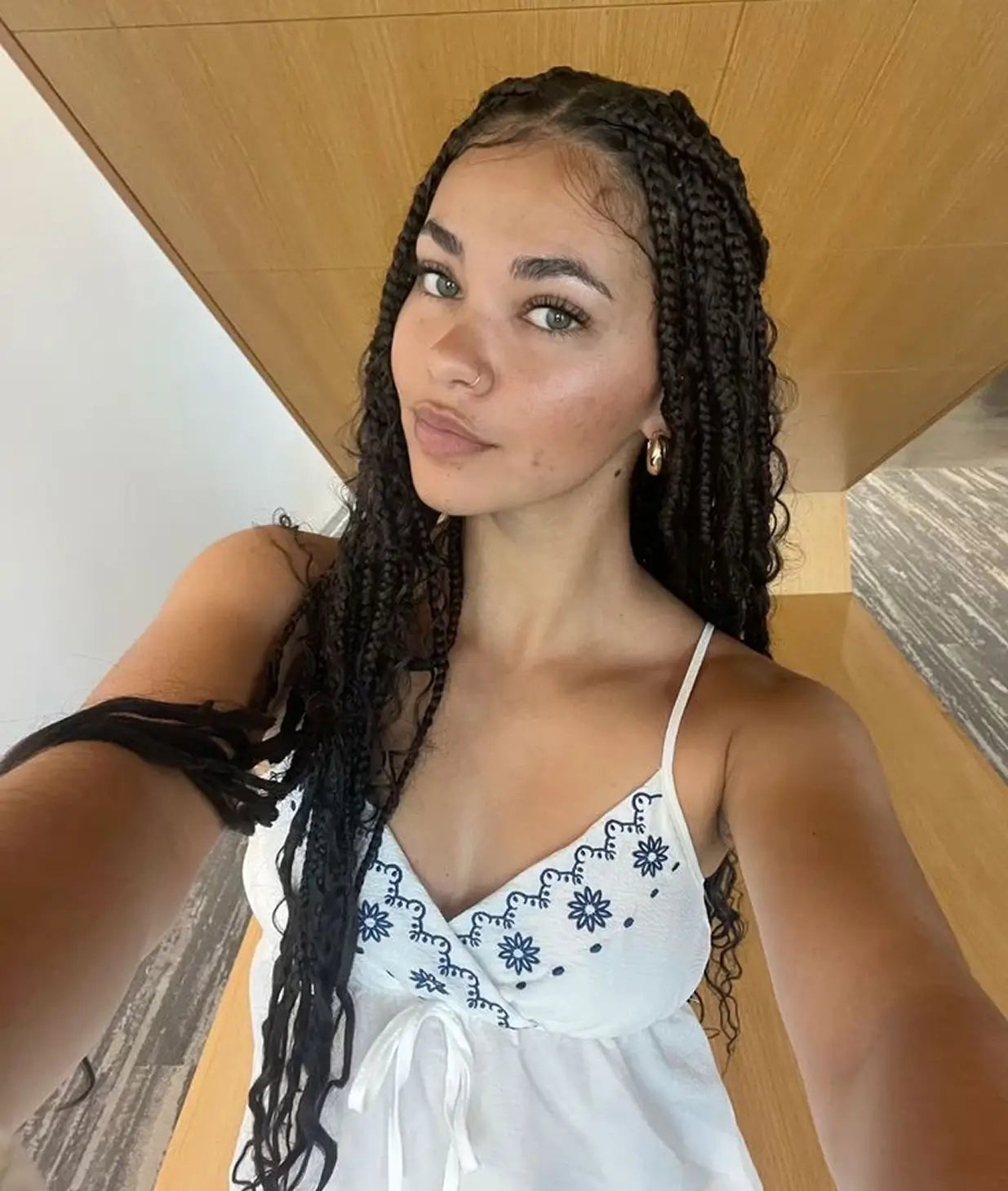 A woman with long, dark braids and light-colored eyes takes a selfie indoors.