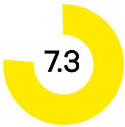 'Yellow circular progress graphic with a 7.3 rating displayed in the center.'